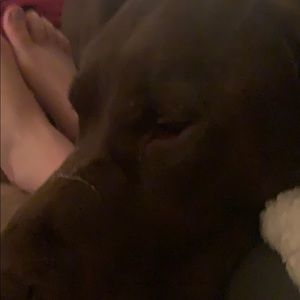 Meet your Posher, Carly